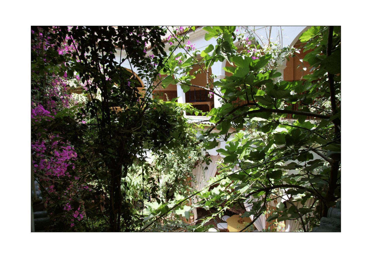 Riad Maryam Taroudant Luaran gambar